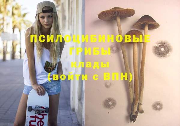 альфа пвп Киреевск