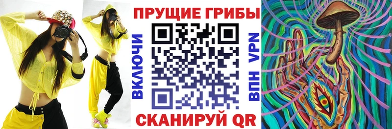 Галлюциногенные грибы MAGIC MUSHROOMS  Купить закладки  Высоцк 
